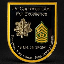 5th Special Forces Group 1st BN Command Team For Excellence Challenge Coin picture