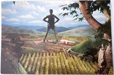 Original 1963 Jolly Green Giant Large Postcard - Tour Memorabilia - RARE picture