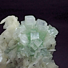 Disco ball type Green Apophyllite on matrix # 4267 picture