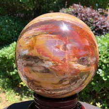 11.9LB Natural Patterns Petrified Wood Sphere Polished Crystal Ball healing picture