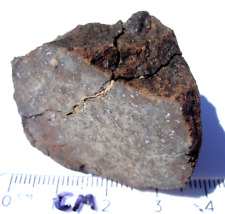 42.5 grams Gold Basin meteorite End Cut (class L4) Arizona 1995 with a COA picture