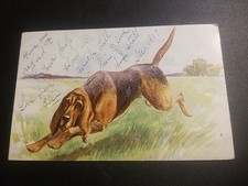 1907 Vintage Postcard Of Old Hound Dog Running ,post Mark New York Has Old Stamp picture