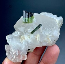 489 Cts Natural Tourmaline Crystals Combine With Quartz specime from Afghanistan picture