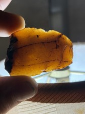 Stunning Honey Coral Paleo Knife Southeast Artifacts Arrowhead picture