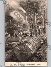 c1907 New Way Of Logging Timber Lumber RAYMOND Washington WA Pacific County picture