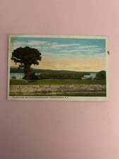 1924 bouquot elm and lake Winnepesaukee, center harbor NH picture