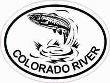 4x3 Oval Trout Colorado River Sticker Luggage Car Cup Tumbler Fishing Stickers picture