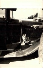 Los Angeles CA Kitty Cat Car Fender Canoga Park Service Station c1920s RPPC picture