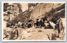 K67/ Tuolumne Yosemite National Park California Postcard RPPC c10 Pack Horse 257 picture