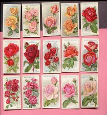 1926 W.D. & H.O. WILLS ROSES 15 DIFFERENT TOBACCO CARD LOT picture