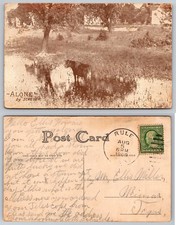 1909 ALONE by SCHEUER Postcard Cow in Water Weimar Texas Postmarked RPPC picture