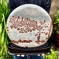 8.73LB Beautiful Natural Chinese Dendritic Limestone Picture Stone Guohua-Rare picture