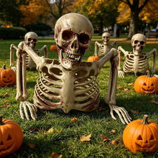 Realistic Halloween Skeleton Decoration with Movable Joints, Outdoor Yard Party  picture