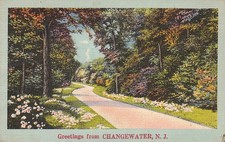 Postcard Greetings from Changewater NJ picture