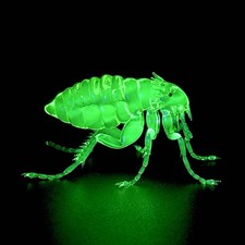 Uranium Vaseline flea  hand Made In The USA 🇺🇸 picture
