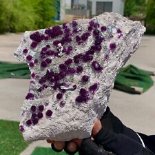 4.78LB Natural purple cubic fluorite mineral crystal sample/China picture