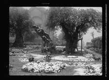 Photo:Jerusalem Israel 1938 Garden of Gethsemane in Snow picture