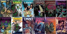 Teenage Mutant Ninja Turtles: Journeys #1-13, Variant Cover Lot (IDW Publishing) picture