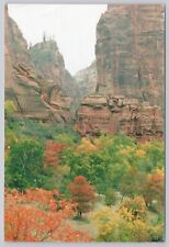 Zion National Park Utah, Altar Rock Formation, Vintage RPPC Real Photo Postcard picture
