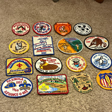 Vintage Boy Scouts Mixed Lot Minsi Trails  Paxinosa Forks Patches 1967-1990 (16) picture