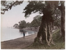 c.1880's PHOTO - JAPAN HONMOKU KIMBEI picture
