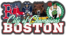 Boston Red Sox Patriots Bruins Celtics Mascot Collage Champs Logo Die-Cut MAGNET picture