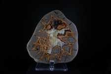 Septarian Nodule / Mount Carmel Junction, Utah / Polished Mineral Specimen picture