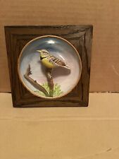 Vintage Original Handcrafted Wooden meadow Lark Bird Framed Convex Glass Diorama picture