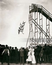 1930s High Diving Horse 8x10 Photo Print - Sonora Webster Carver Atlantic City picture