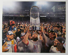 Mike Napoli Boston Red Sox 2013 World Series Champions Licensed Photo *LICENSED* picture