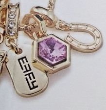 Get ALL 10 EFFY Norwegian Cruise NCL AMULET OF ADVENTURE CHARMS + NECKLACE picture