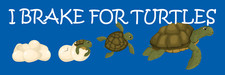 I Brake For Turtles Bumper Sticker Funny Stop for Turtles Critters Animals Decal picture