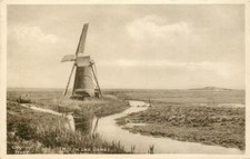 Southwold Suffolk England Mill On The Dunes OLD PHOTO picture