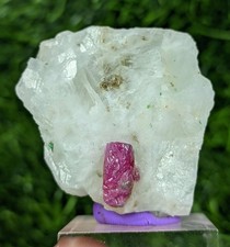 55-gm Fluorescent Red Ruby Corundum Crystal on marble with Micro Green Pargasite picture