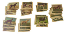 Lot of 1976 Kellogg Company Stick’r Trading Cards Horse Arabian Peruvian Shire picture