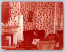 Vintage Interior Scene 1960s Snapshot Photograph Home Decor Living Room picture