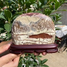 920G   Beautiful Natural Chinese Dendritic Limestone Picture Stone Guohua-Rare picture