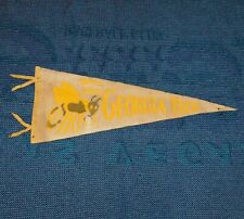 Vintage Original 1950s GEORGIA TECH YELLOW JACKETS College Full Size Pennant picture