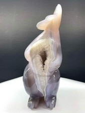 1.66LB Natural Agate Geode Quartz Carved Kangaroo Skull Crystal Reiki Decor picture