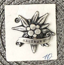 RARE VINTAGE ENAMEL SOUVENIR GRAND TOUR PIN BROOCH SALZBURG picture