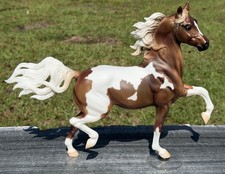 Breyer 2006 JCPenney Chestnut Pinto Half Arabian Huckleberry Bey Special Run picture