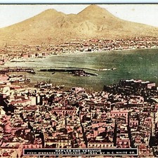 1909 Naples, Italy Mt. Vesuvius Postcard Roosevelt Tour Volcanic Bay Harbor picture
