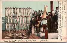 Vintage 1908 FLORIDA Fishing Postcard 