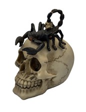 Scorpion Skull Statue – Gothic Skull with Scorpion Horror Figurine picture