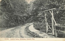 Windham NY Lovers Lane Dirt Road Bench Catskill Mountains New York Postcard picture
