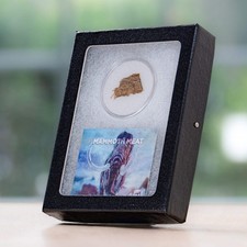 Mini Museum Mammoth Meat, Woolly Mammoth Muscle Tissue Specimen Fragment picture