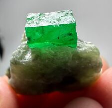 63 Ct. Full Terminated Top Green Swat Emerald Huge Crystal On Matrix @Pak picture