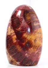 LARGE PETRIFIED RAINBOW WOOD POLISHED FREE-FORM, 7 INCHES TALL β 5 lb. 3oz picture