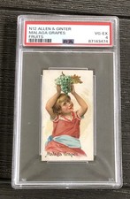 1891 N12 Allen Ginter Malaga Grapes PSA 4 picture