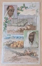 Antique 1891 Arbuckle Brothers Ariosa Coffee Advertising Card #35 Mecca, Arabia picture